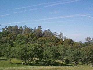 San Joaquin Biosphere Reserve