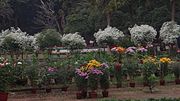 Santiniketan Garden.jpg