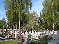 English: cementery in Sarnowo, Poland