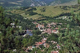 Aerial view dari Sasca Montană