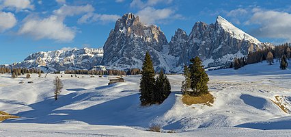 The Saslonch group from the Seiseralm, South Tyrol