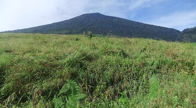 File:Savanna Mt. Rinjani 3.JPG