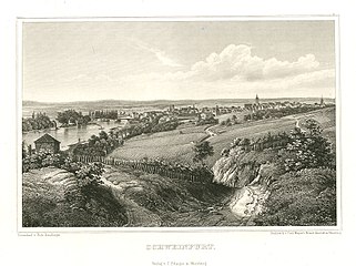 Schweinfurt mit Weinbergen 1847