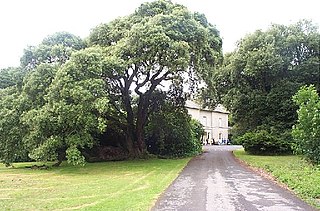 <span class="mw-page-title-main">Scolton Manor</span> Country house in Pembrokeshire, Wales