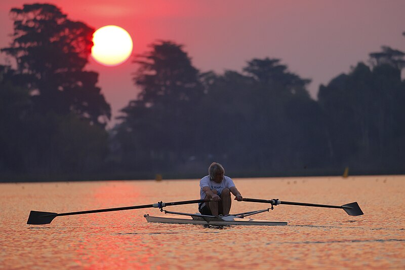 File:Sculler and Sun - Lake Wendouree.jpg