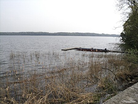 Seeufer Torgelower See