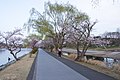 千波公園（茨城県水戸市）