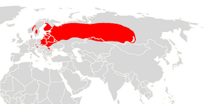 Sicista betulina range map.png