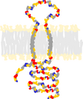 Minijatura za Sigma receptor