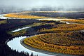 Koyukuk River