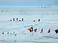 South pole skiers.jpg
