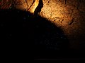 Miniatuur voor Bestand:Spellbound Glowworm Cave - 2013.04 - panoramio.jpg