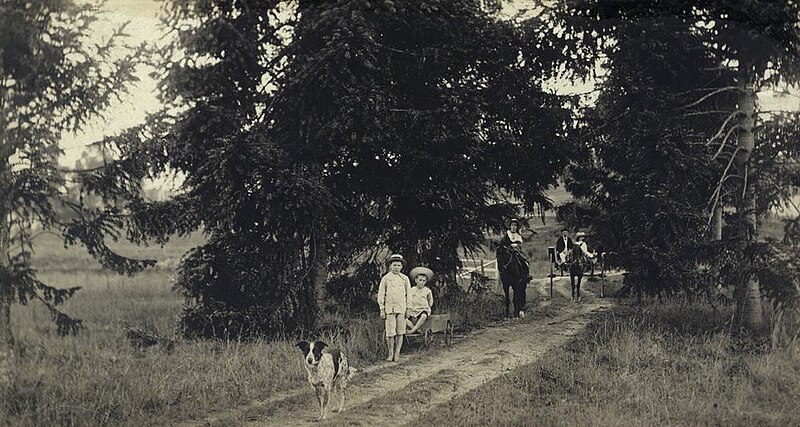 File:StateLibQld 1 257620 Front drive up to Trackson's property, Sedgley Grange in Newmarket.jpg