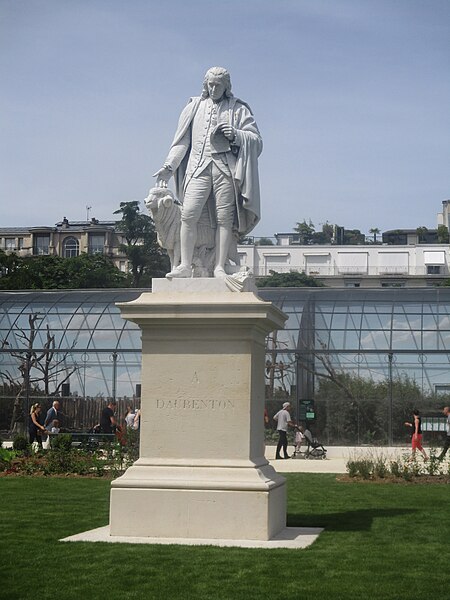 File:Statue de Daubenton.jpg