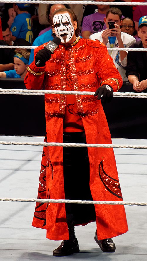 Sting made his WWE debut during the main event.