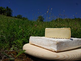 <span class="mw-page-title-main">Stracchino</span> Italian cheese