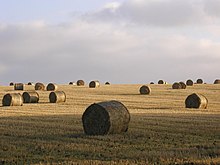 Straw Bales.jpg