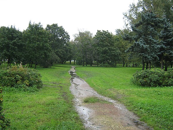 Санкт петербург фото дачное