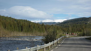 Synnfjellet sett fra fylkesvei 2424. Dokkaelva til venstre.