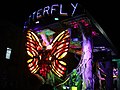 Taunton carnival 2019 - Gemini CC Butterfly Ball.JPG