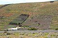 Terraços em Lanzarote