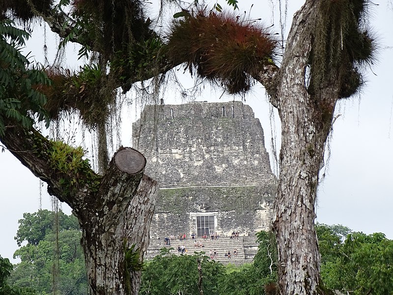 File:Temple IV Viewed from Central Acropolis - Gran Plaza - Tikal Archaeological Site - Peten - Guatemala (15870821762).jpg