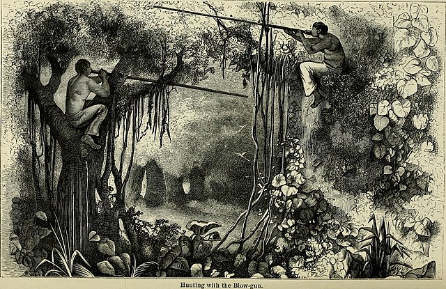 19th century depiction of hunting with blowguns in the Amazon rainforest