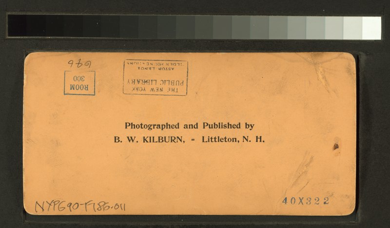 File:The surging sea of humanity at the opening of the Columbian Exposition (NYPL b11707463-G90F186 011B).tiff