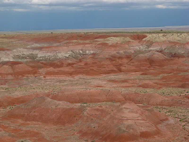 File:Tiponi Point-Petrified Forest National Park - panoramio.jpg