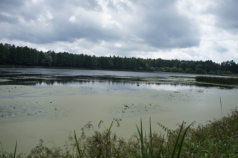 File:Topiło Lake - panoramio (18).jpg