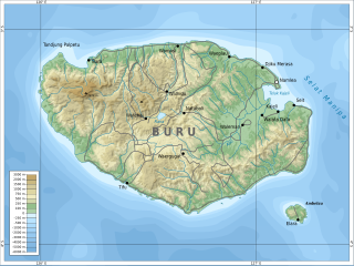 Buru island