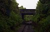 Littlemore Railway Cutting
