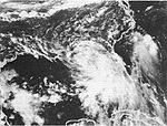 Tropical Storm Beryl (1994).JPG