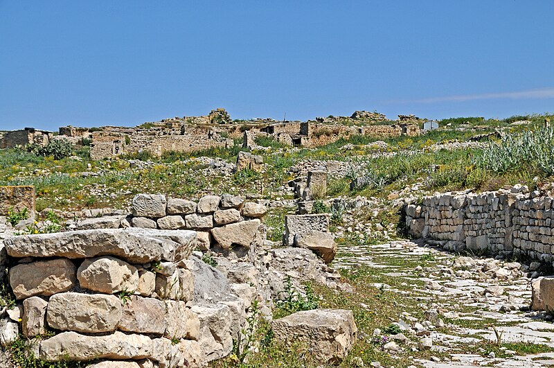 File:Tunisia-2746 - Ruins are Everywhere (7845245034).jpg