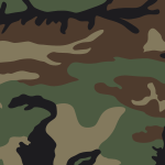 US Woodland pattern.svg