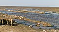 * Nomination Unique by tides ever-changing marsh area. Location, Noarderleech Profince Friesland in the Netherlands. Agnes Monkelbaan 06:19, 25 October 2015 (UTC) * Promotion Good quality. --Johann Jaritz 06:26, 25 October 2015 (UTC)