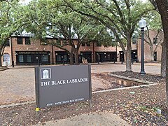 University of St Thomas Black Lab.jpg