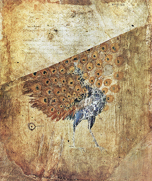 File:ViennaDioscoridesEndpaperPeacock.jpg