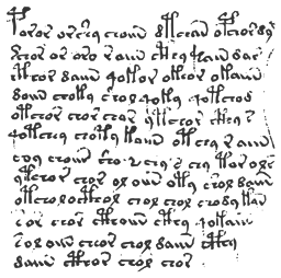 Voynich manuscript excerpt