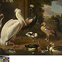 Watervogels, Melchior de Hondecoeter, Koninklijk Museum voor Schone Kunsten Gent, 1882-F.jpg