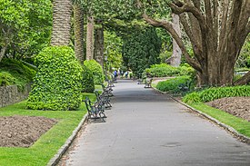 Wellington Botanical Garden 10.jpg