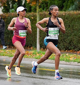 <span class="mw-page-title-main">Sintayehu Lewetegn</span> Ethiopian long-distance runner