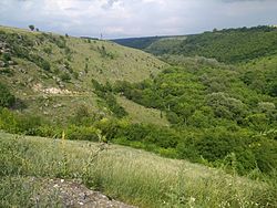 Піщанський Район: Географія, Історія, Політика