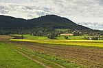 Miniatura Żarnowiec (Beskid Śląski)