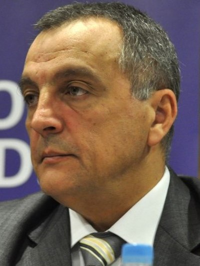 Image: Zoran zivkovic 2015 (cropped)