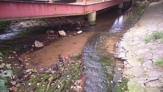 Der Zusammenfluss von Haselbach und Waldbüttelbrunner Augraben zum Aalbach