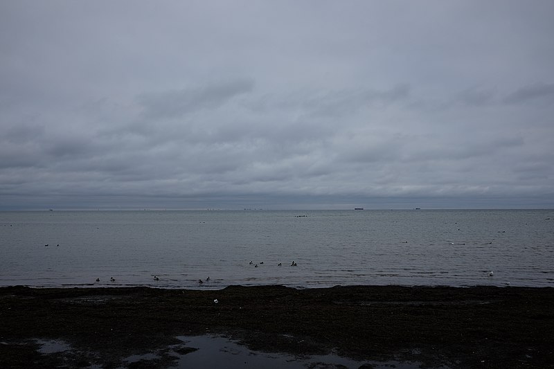 File:Öresund med Köpenhamn.jpg