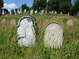 Čeština: Náhrobek se symbolem džbánu na židovském hřbitově ve Zbraslavicích, okres Kutná Hora. English: Gravestone with the in the Jewish cemetery in Zbraslavice, Kutná Hora District, Central Bohemian Region, Czech Republic.