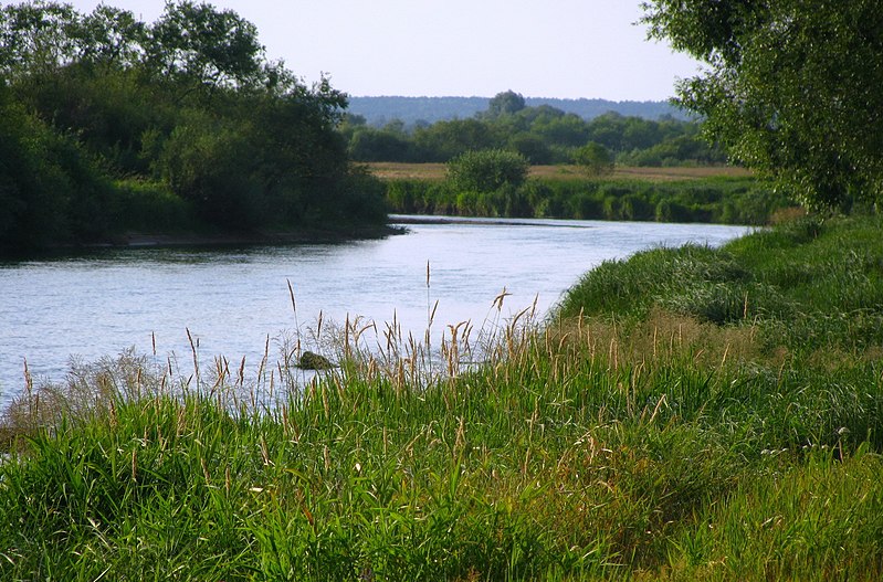 File:Друть - panoramio (1).jpg