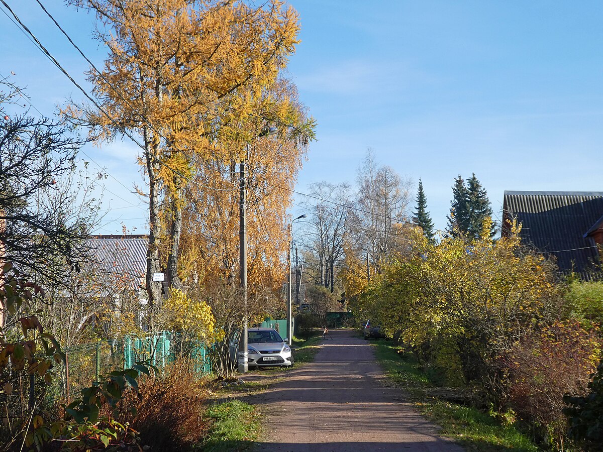 Переулок ломоносова